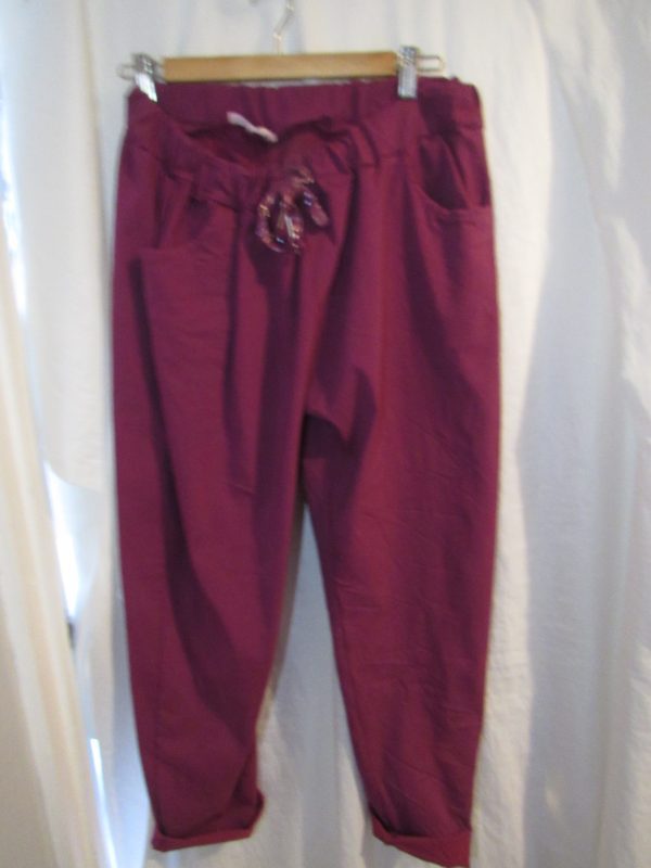 NEW Ladies Plum Stretchy Crinkle Magic Trousers One Size Fits 18 20 22 Size 2