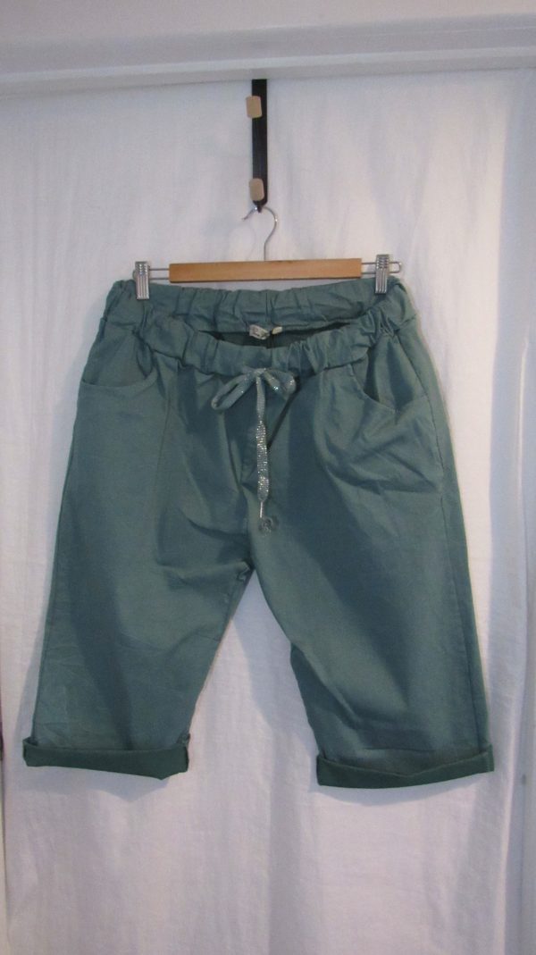 NEW Ladies Teal Magic Shorts Plus Size One Size Fits sizes 18 20 22 Size 2