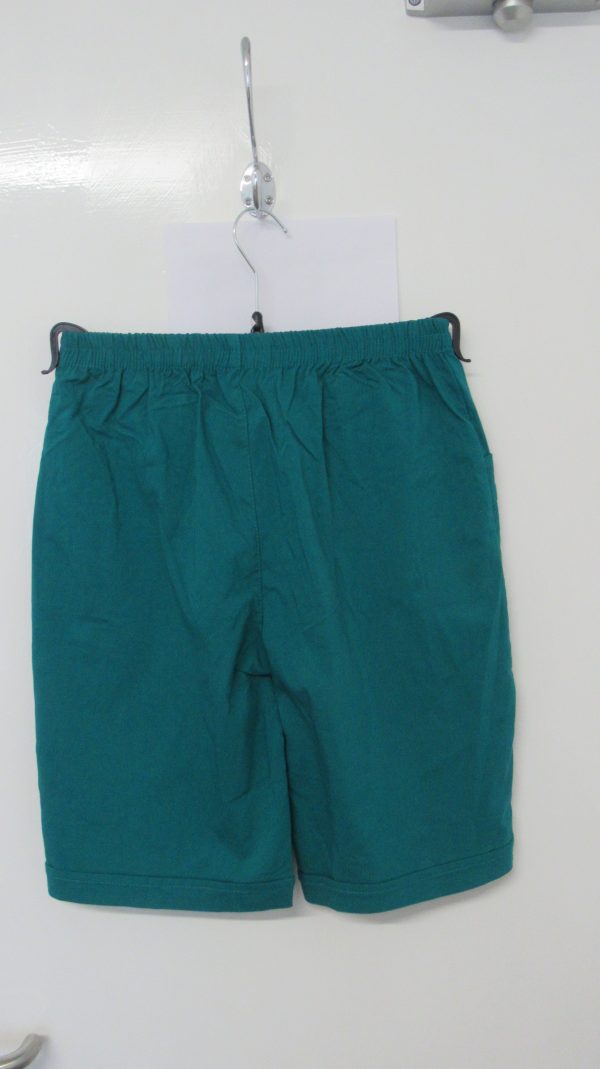 Cherry Berry Teal Stretchy Shorts Size T3 UK 12 - Image 4
