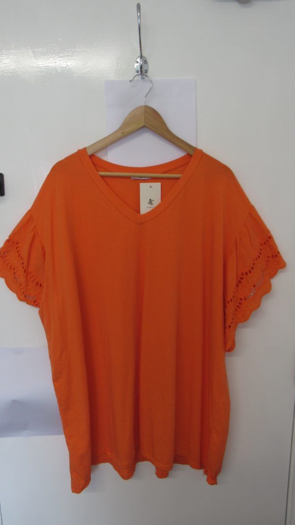 New Ladies Orange Plus Size V Neck T-shirt One Size fits sizes 18 20 22 24